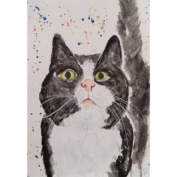 Kunstpostkort - Sort kat - Susanne Kalmar