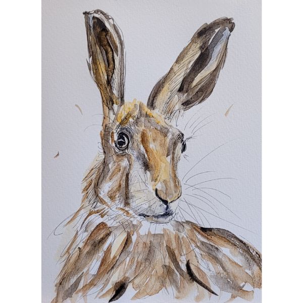 A5 - Hare - Susanne Kalmar