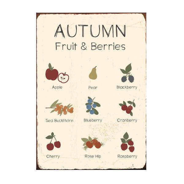 Metalskilt - Autumn fruit/berries - Ib Laursen