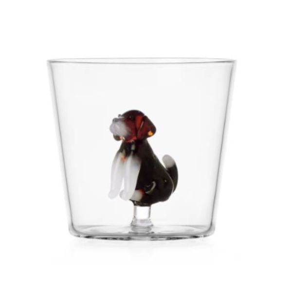 Glas – English foxhound – Ichendorf