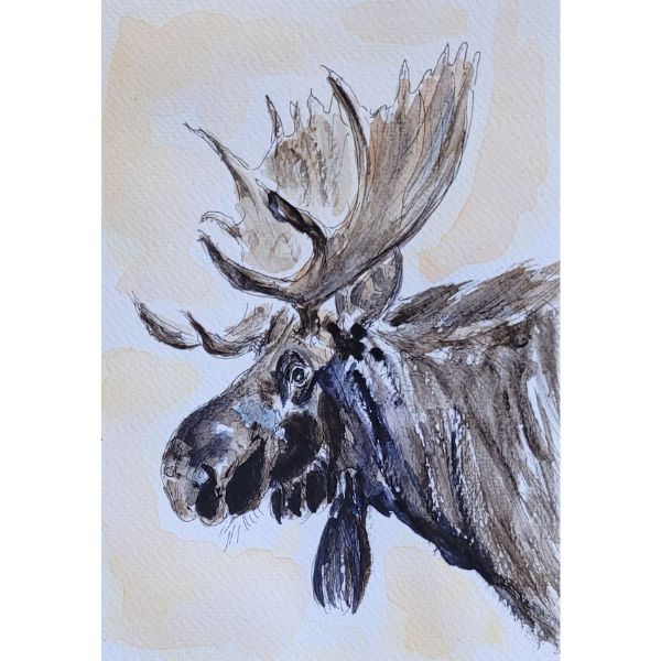 A5 - Elg - Susanne Kalmar