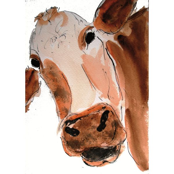 Kunstpostkort - Brun ko - Susanne Kalmar