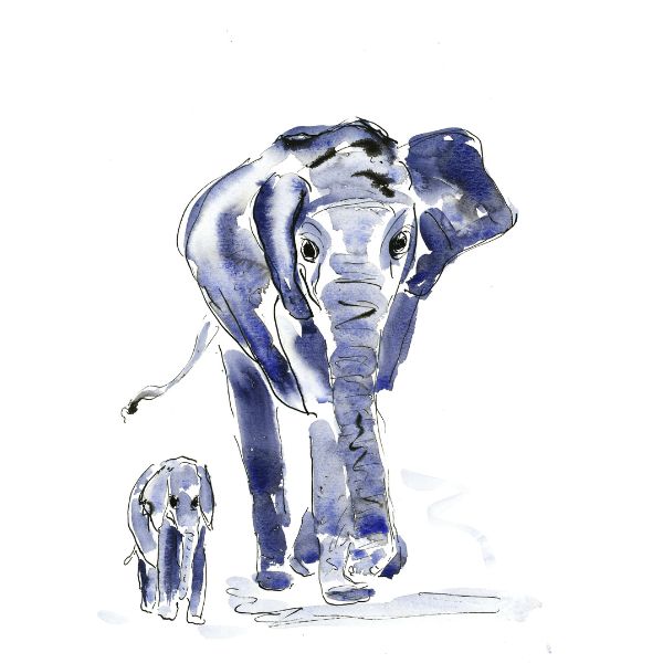 Kunstpostkort - Elefant med unge - Susanne Kalmar