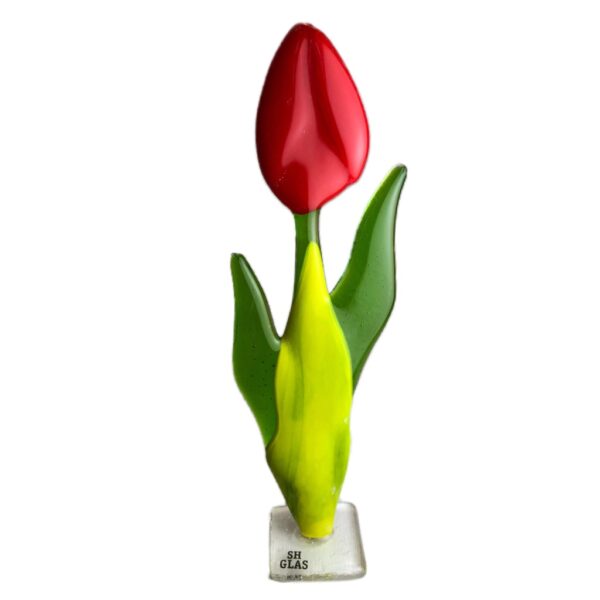 Tulipaner - Glas - SH glas