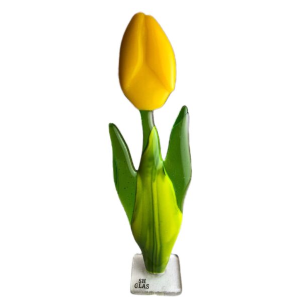 Tulipaner - Glas - SH glas